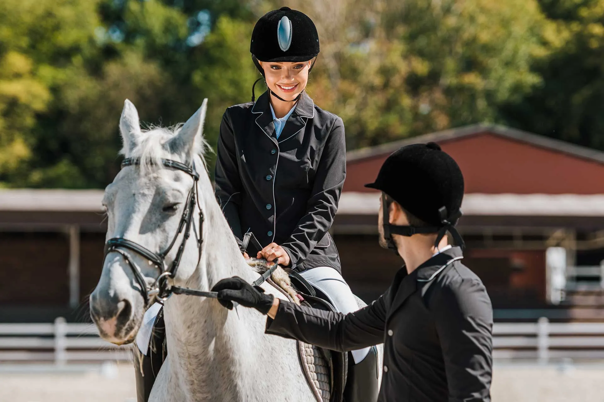 Entrenamiento de doma de caballos