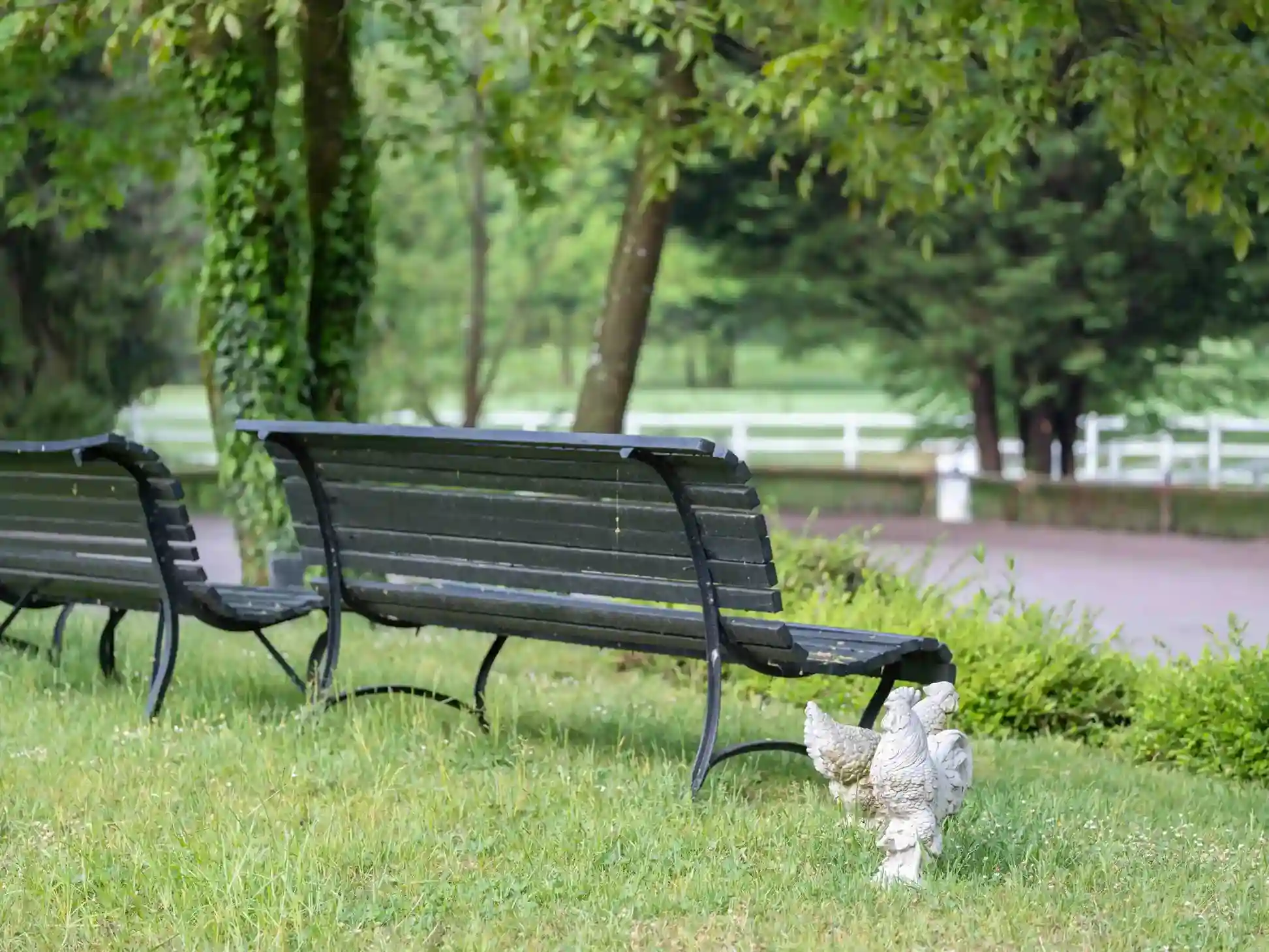 Accueil Domaine imperial chairs