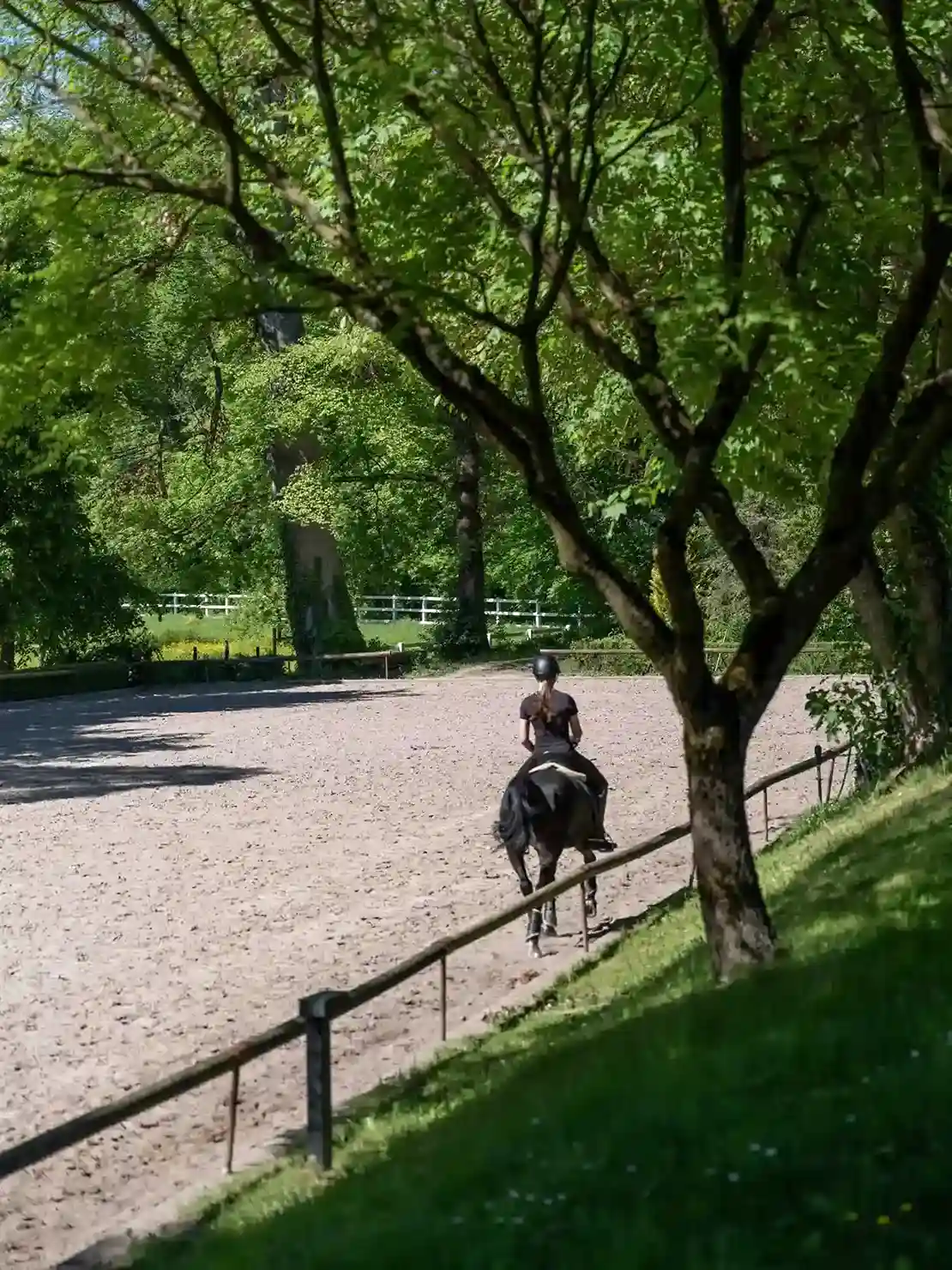 person riding a horse imperial domaine