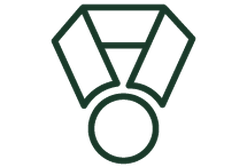 Accueil medal icon