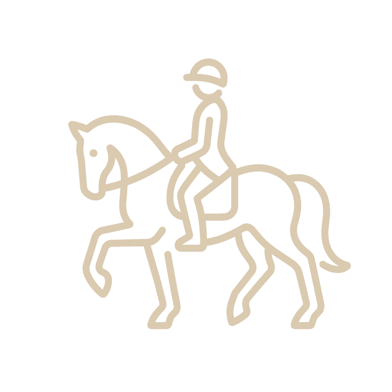 pension pour chevaux